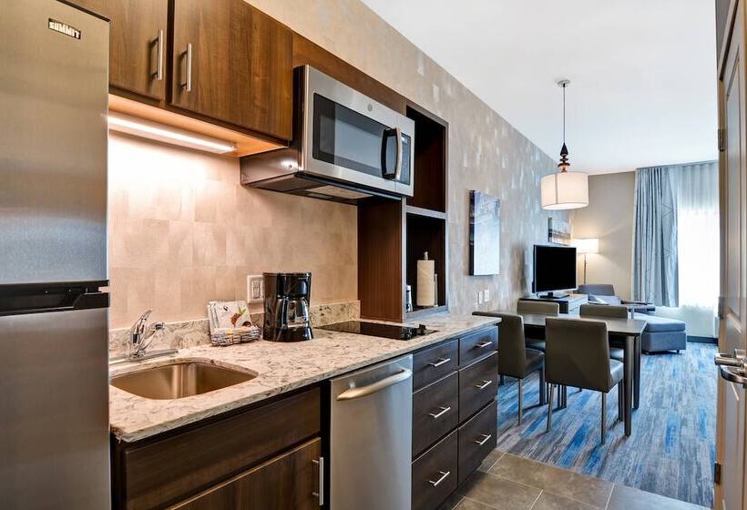 호텔 Towneplace Suites By Marriott Bridgewater Branchburg