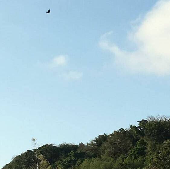 تختخواب و صبحانه One Day Ocean Villa