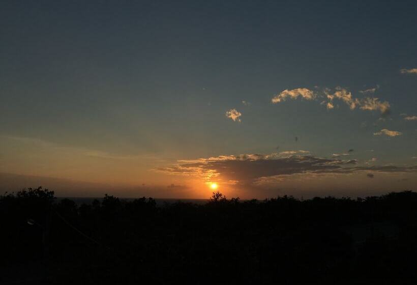 تختخواب و صبحانه One Day Ocean Villa