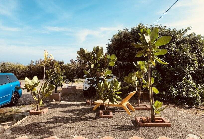 تختخواب و صبحانه One Day Ocean Villa