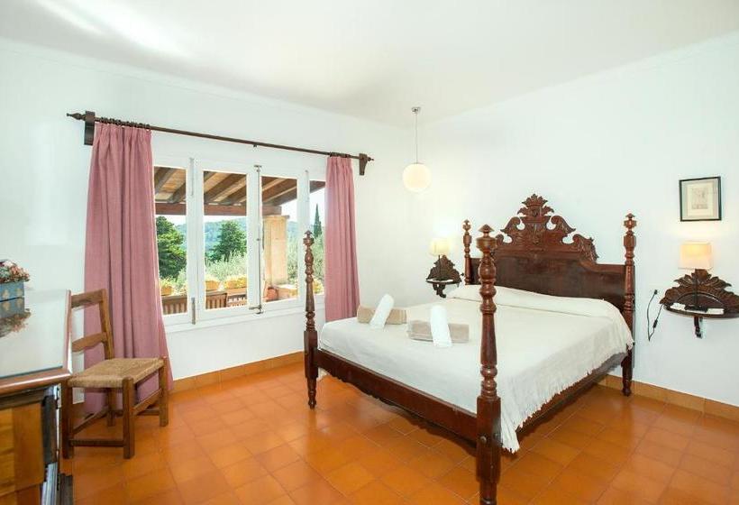 Owl Booking Villa El Vila Amazing Views