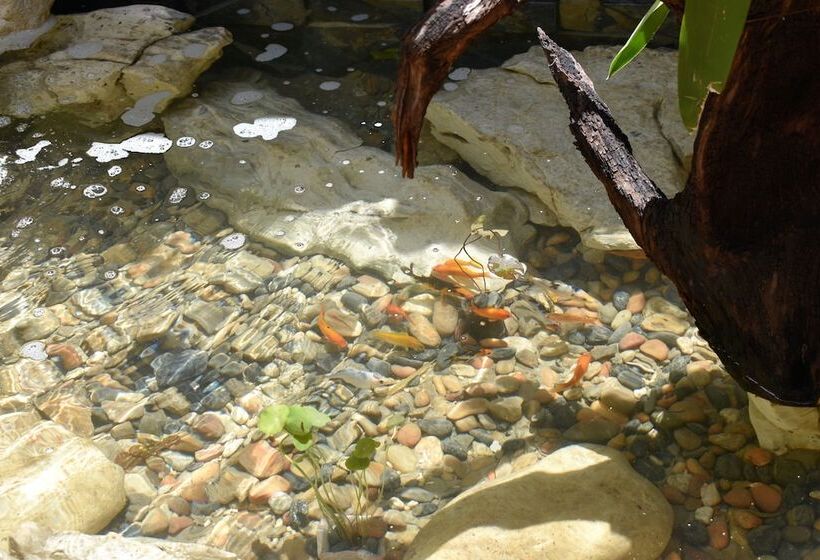 فندق Casa Janaab Palenque