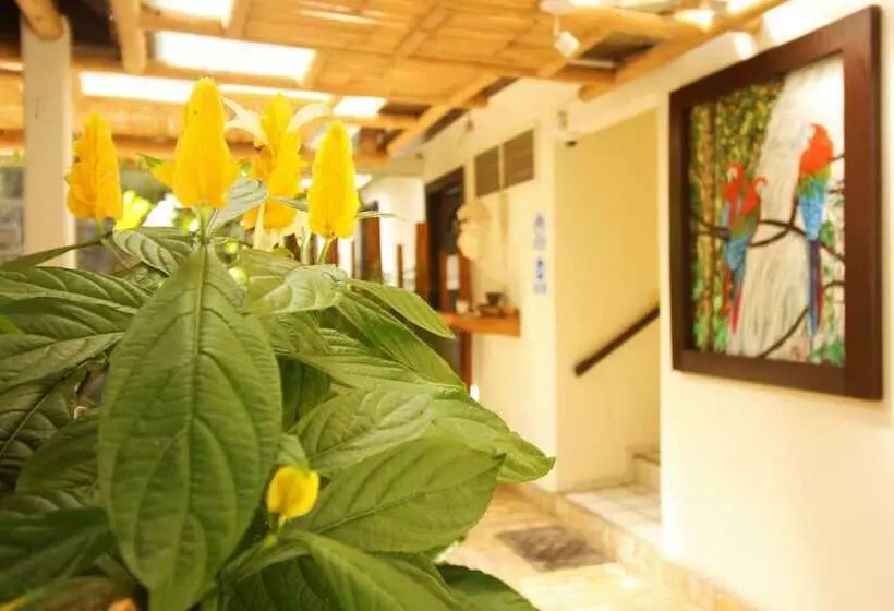 Hotelli Casa Janaab Palenque