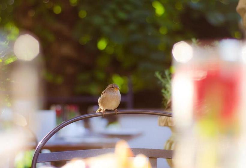 호텔 Guter Tropfen