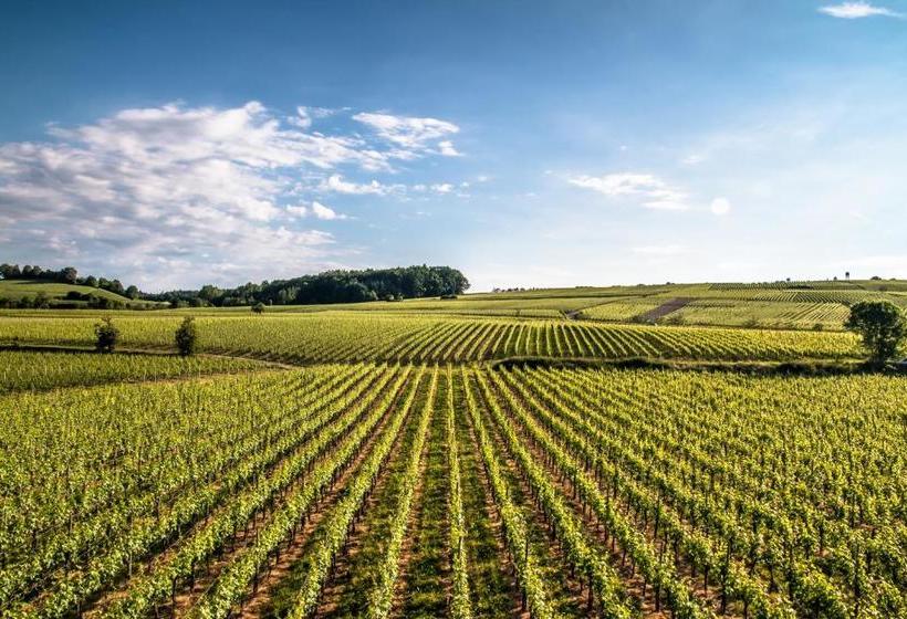 호텔 Guter Tropfen