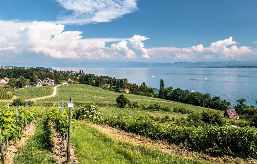 호텔 Guter Tropfen