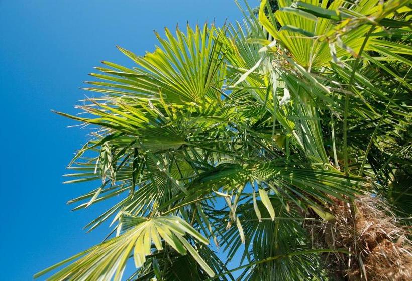 酒店 Jardis Boutique