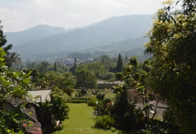 Hotel Lurus