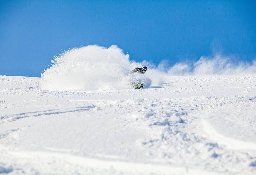 Holiday Niseko Snowbird