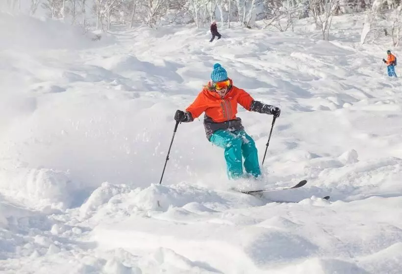 Holiday Niseko Snowbird
