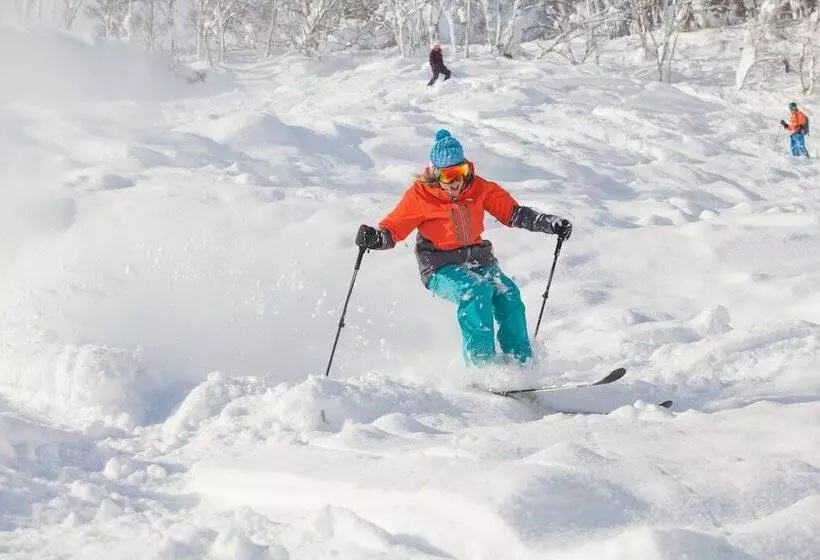 Holiday Niseko Snowbird