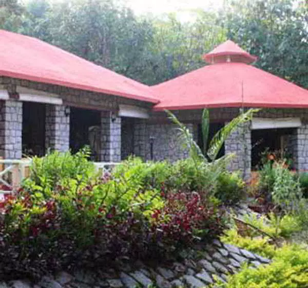Wild Chalet Resort