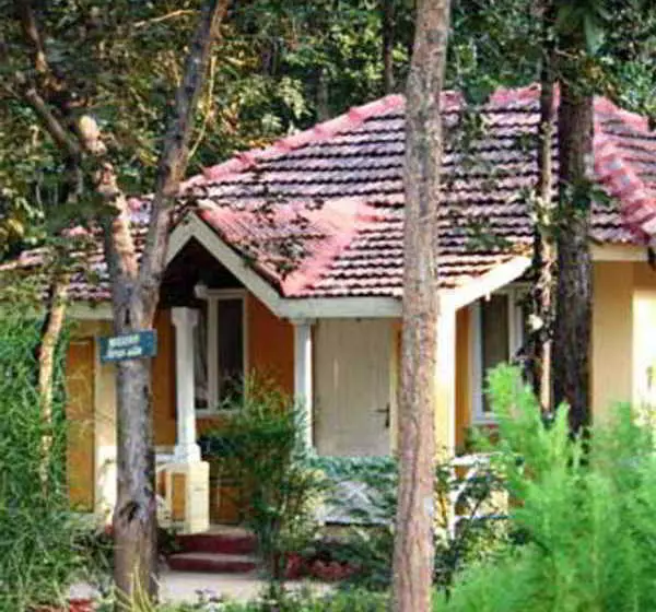 Wild Chalet Resort