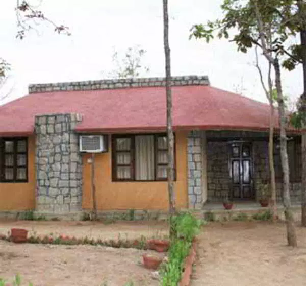 Wild Chalet Resort