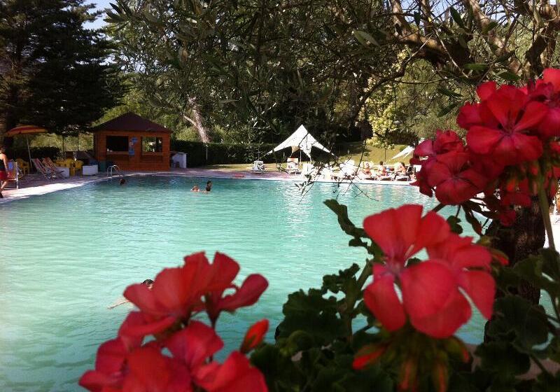 호텔 Albergo Terme Forlenza