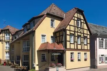 酒店 Zum Neuen Schwan