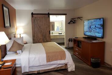 فندق Airport Inn