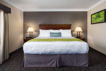 בית מלון כפרי Best Western Plus Landmark Inn