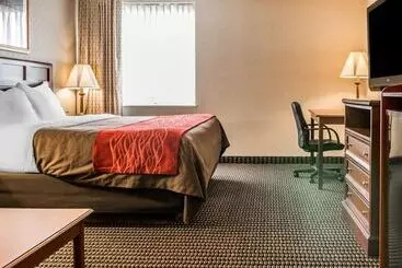 酒店 Comfort Inn Utica