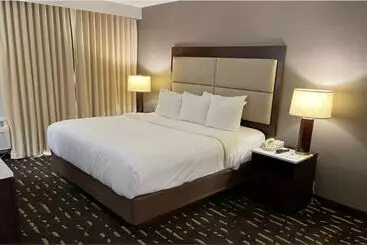 Otel Wyndham Chicago O'Hare