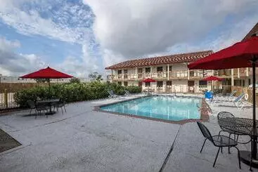 Hotel Red Roof Inn Houston North Fm1960 & I 45