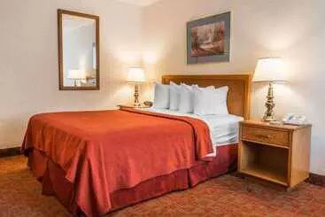 酒店 Quality Inn Royle