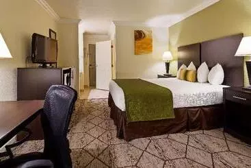 酒店 Best Western Executive Inn