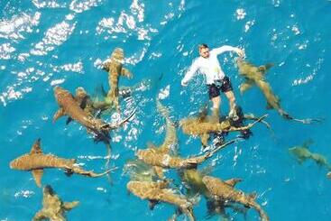 پانسیون Ci Ritorno View