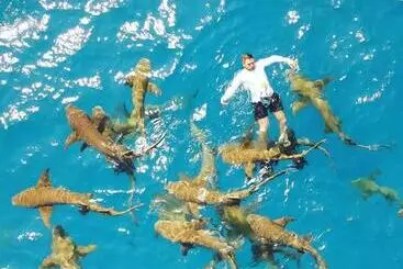 Pensione Ci Ritorno View