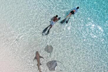 פנסיון Oceana Boutique