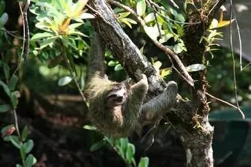 ツーリストアパートメント Residencia Natural