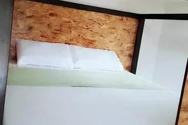 Spinning Cat Hostel   Adults Only