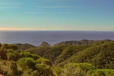 تختخواب و صبحانه La Roqueta