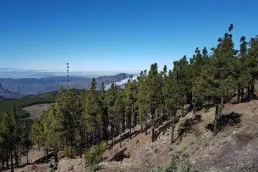 Rickaty Lodge Bed And Breakfast, Hotel De Aeropuerto, Plane Spotting Hotel, Las Palmas Airport, Gran