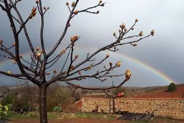Pansiyon La Casa De La Estación