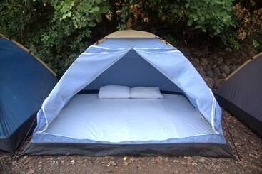 Hotel Caliente Bungalows   Adults Only