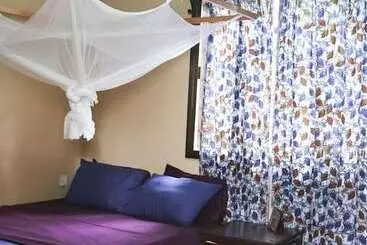 Bed and Breakfast Worlds Collide Africa House