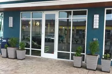 Motelli Blue   Woodlands