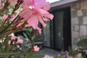 فندق Cumhur Yesilirmak Butiqe