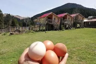 Hôtel Pilav Dagi Yavuzyilmaz Tesisleri