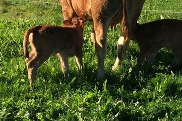 酒店 Yourte Mongole