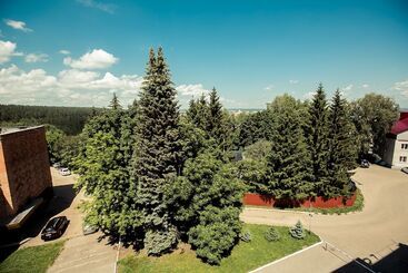 בית מלון כפרי Lastochka