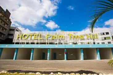 Motel Palm Tree Hill