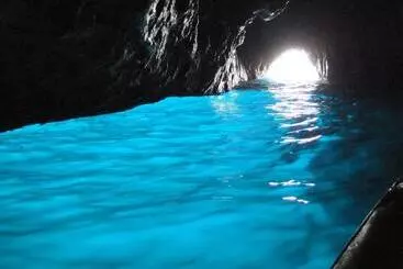 Motel Palm Tree Hill