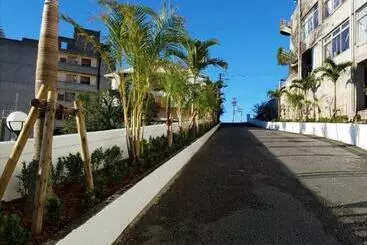 Motel Palm Tree Hill