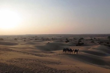 Hotel Dunes Desert Safari And Camp