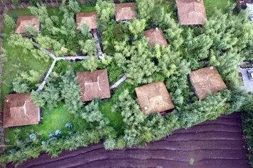 Hôtel Le Bambou Gorilla Lodge