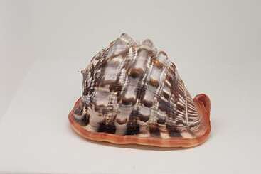 Aparthotel Casa Bella