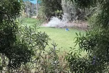 Talo Padthaway Caravan Park