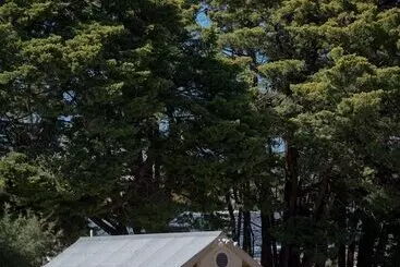 Paxton Square Cottages